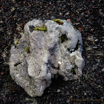 B0001453