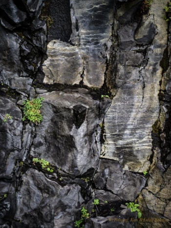 B0001795